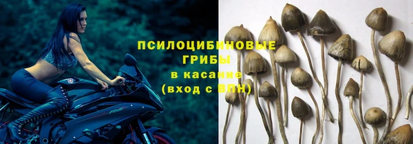 каннабис Новодвинск