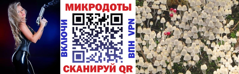 продажа наркотиков  Пионерский  Псилоцибиновые грибы мицелий 