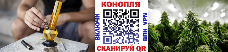 Каннабис индика  Пионерский 